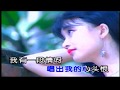 韓寶儀  我有一段情  【KARAOKE】Han Bao Yi 國語原聲天籟之音甜歌皇后80年代百萬暢銷經典國語懷舊金曲新馬歌后華語老歌精選流行好歌甜美柔情