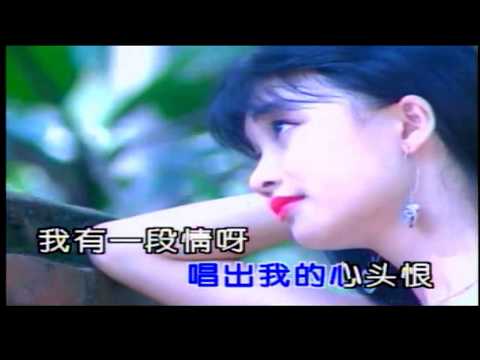 韓寶儀【我有一段情】KTV國語原聲天籟之音甜歌皇后80年代百萬暢銷經典國語懷舊金曲新馬歌后華語老歌精選流行好歌甜美柔情[중국노래]한보의hanbaoyi MUSIC VIDEO』