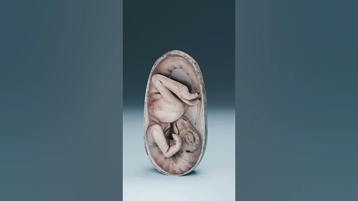 They Found a Dinosaur Embryo Inside This Egg…