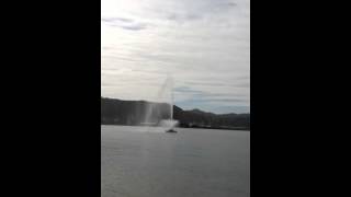 Wellington NZ