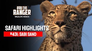 Safari Highlights #431: 01 - 03 September 2016 (Latest Wildlife Sightings)