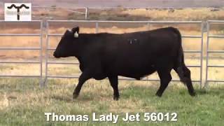 Thomas Lady Jet 56012