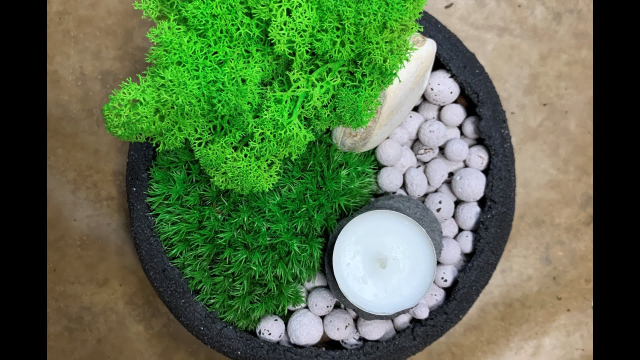 How To Make A DIY Moss Bowl (Easy Spring Home Decor) - Making Manzanita