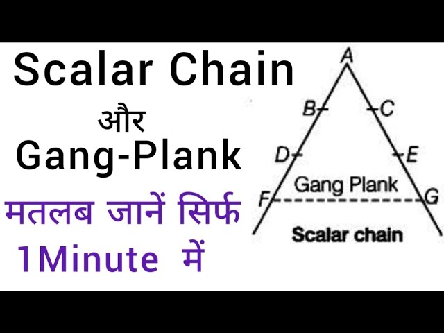 Scalar Chain#Gang-plank#Principles of Management, Business Studies