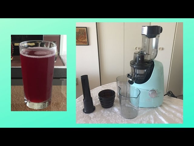 Comfee' BPA Free Masticating Juicer Extractor with Ice Cream Maker, Mint  Green 