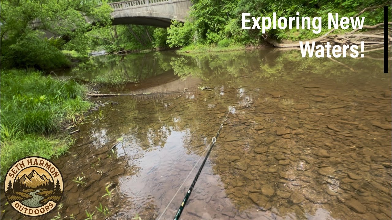 Exploring New Waters! 🫣 BFS Bass fishing
