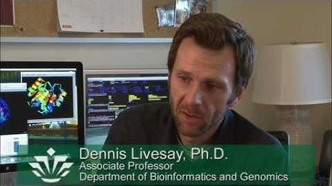 Dr. Dennis Livesay