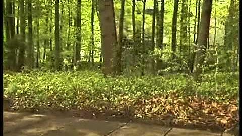 ED 100/250 automatic swing door with integrated wind-load control - Wind Tunnel Test