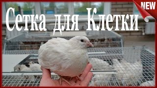 видео Автоматическая кормушка для кошек: преимущества и инструкция для изготовления