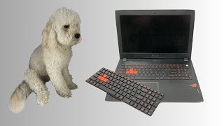 Wymiana klawiatury w laptopie ASUS ROG Strix GL502V - uszkodzona klawiatura zalana nie działa power