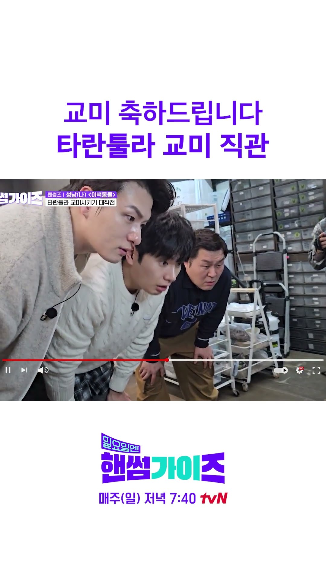 봐도 되는 거 맞죠? #일요일엔핸썸가이즈