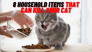 8 Household Items that can Kill your Cat 2021