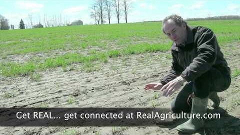 Wheat School - Evaluating Plant Stands - Peter Johnson - OMAFRA