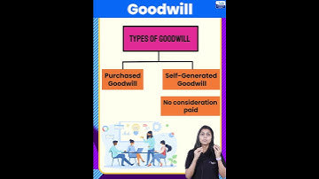 What is Goodwill? | Types of Goodwill |Goodwill kya hai? |Letstute Accountancy Hindi#shorts#ytshorts