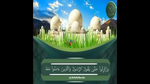 القارئ وديع اليمني