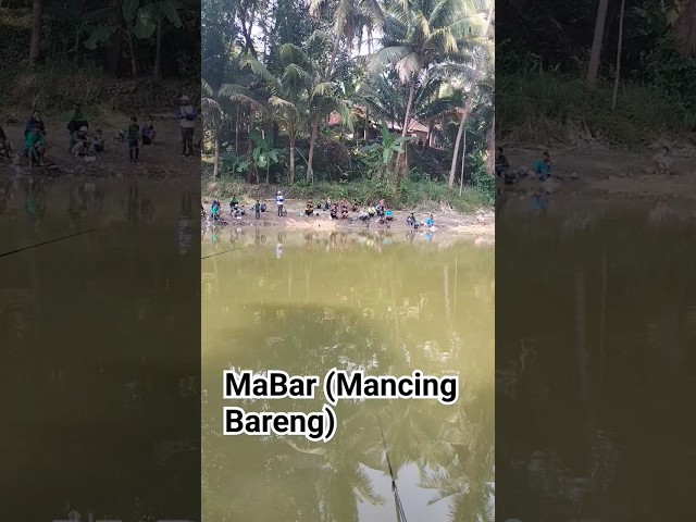 MaBar(Mancing Bareng) class=