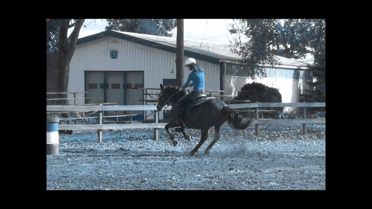 Pennwood Ohio Horse show. ( YouTube