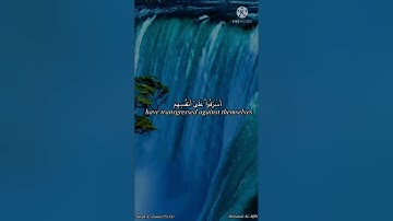 {۞قُلۡ يَٰعِبَادِيَ ٱلَّذِينَ أَسۡرَفُواْ } 🤲🏻 .. سورة الزمر {٥٣، ٥٤} .. تلاوة هادئة 💜🌸