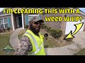 How I clean a weed infested rock plant bed with a weed whip