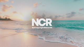 Free Copyright Music - Signal To Noise - Scott Buckley