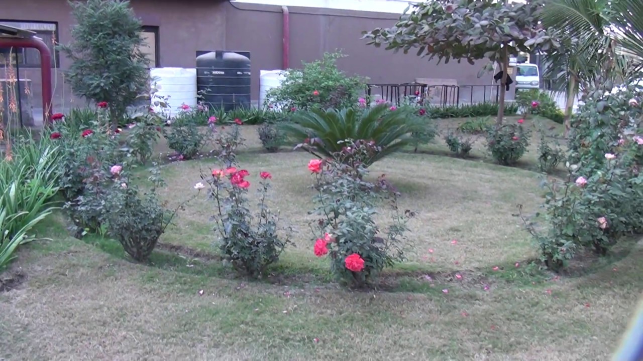 Lovely Flowers in Dreams Residency YouTube