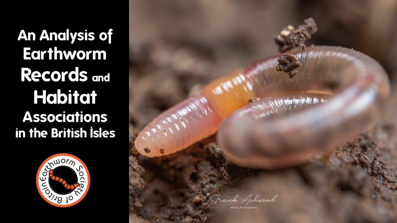 An Analysis of Earthworm Records and Habitat Associations in the ...