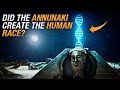 Did the Annunaki Create the Human Race?