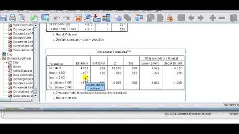 Loglinear model for 2 way tables in SPSS