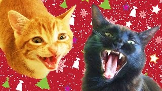 Cats & Kittens Sing Christmas Song