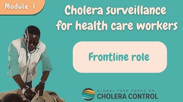 Cholera surveillance, Health Workers | Frontline role