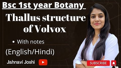 Volvox: Thallus Structure (Notes)Bsc 1st year Botany