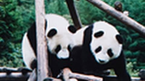 CHANS-Net: Building a sustainable future