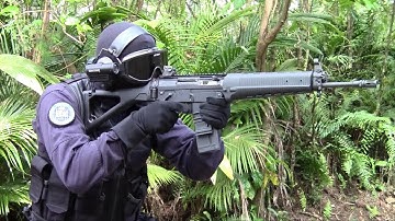 SIG SAUER SIG556 Classic