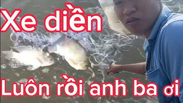 Thả lưới bắt cá rô phi ở kênh mới trúng mánh to luôn