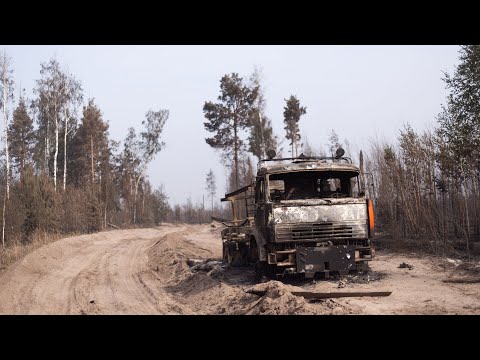 Опубликовано видео с последствиями лесного пожара под Рязанью