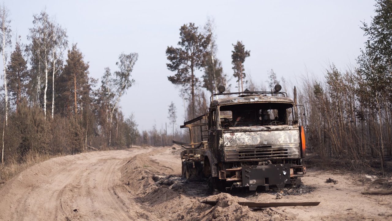 Сгоревшие на лесном пожаре в Рязанской области московские машины на дороге близ хутора Голованово