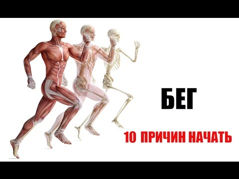 БЕГ. 10 Причин Начать!