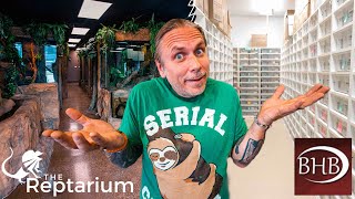 HOW MANY REPTILES DO I HAVE?? LET'S COUNT THEM!! | BRIAN BARCZYK