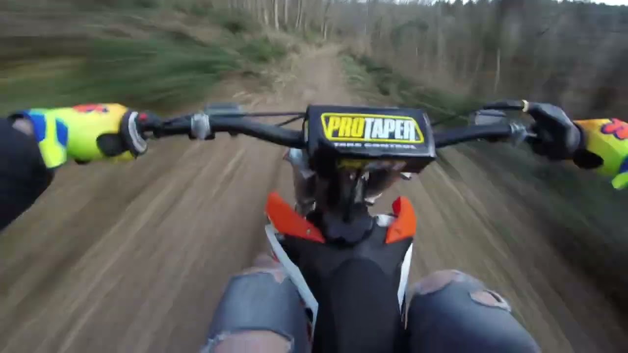 KTM 85 SX FULL GAZ EN FORÊT ⚡PURE SOUND⚡