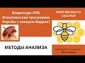 Как делать анализ на заклещеванность? Как узнать, сколько клещей в пчелосемье? (КПБ)
