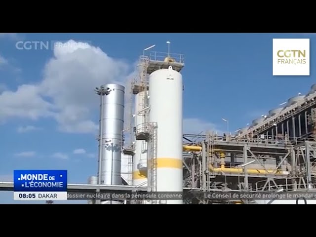 Conflit Russie-Ukraine : l’Algérie refuse d’augmenter l’acheminement de gaz vers l’Europe