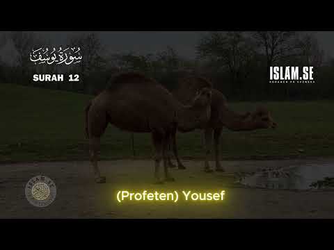 UPPLÄST KORAN  Kapitel 12 Profeten Yousef KORANENS BUDSKAP  #koranenpåsvenska