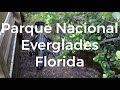 #4 Parque Nacional Everglades, Florida 4K - Travel Video 194