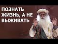 Познать жизнь, а не выживать | #Садхгуру