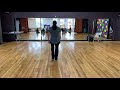 Thriller Dance (choreography by Michael Peters)