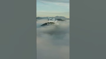 استغفر الله العظيم واتوب اليه. القارئ #ماهر_المعيقلي ،سورة آل عمران. #القرآن #quran #القرآن_الكريم