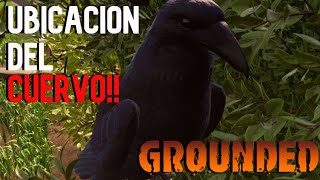 GROUNDED | ¿DONDE ENCONTRAR AL CUERVO? (UBICACION DEL CUERVO) | GUIA COMPLETA!!