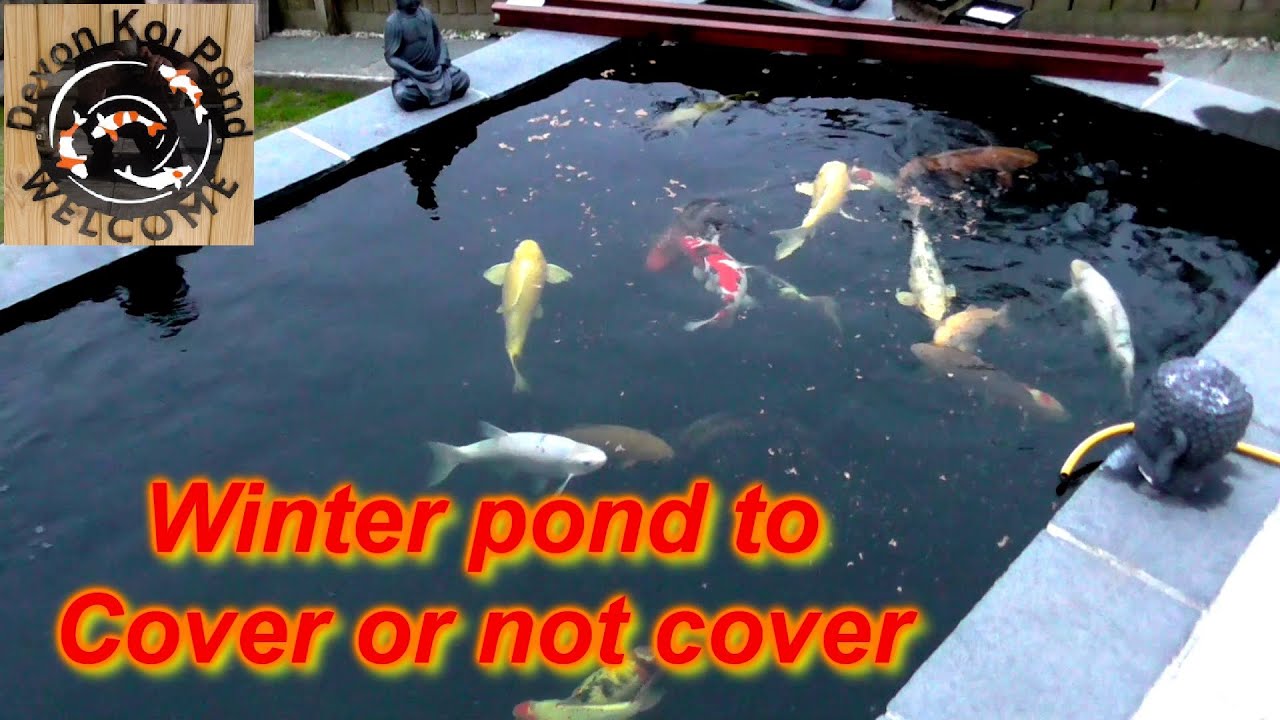 Diy koi pond cover keeping the water as warm as you can without heating 