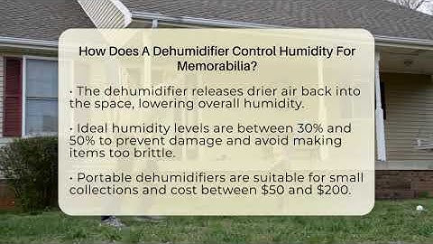 How Does A Dehumidifier Control Humidity For Memorabilia? - The Memorabilia Zone