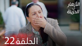 الأزهار الحزينة | الحلقة 22 كاملة   | Kırgın Çiçekler